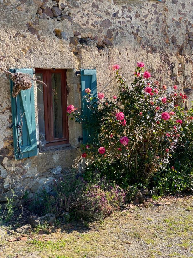 Bachellerie Bed & Breakfast Chéronnac Dış mekan fotoğraf